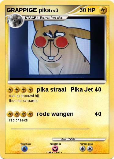 Pokemon GRAPPIGE pika