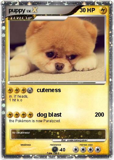 Pokemon puppy