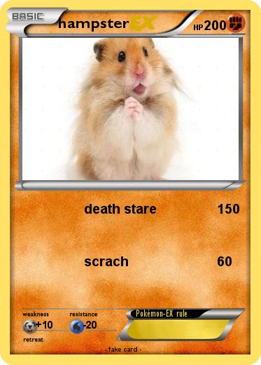 Pokemon hampster