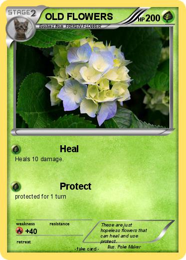 Pokemon OLD FLOWERS