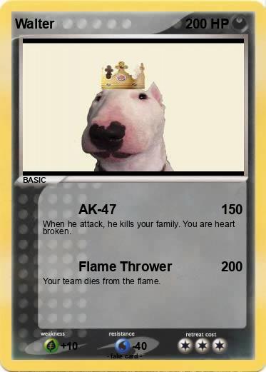 Pokemon Walter