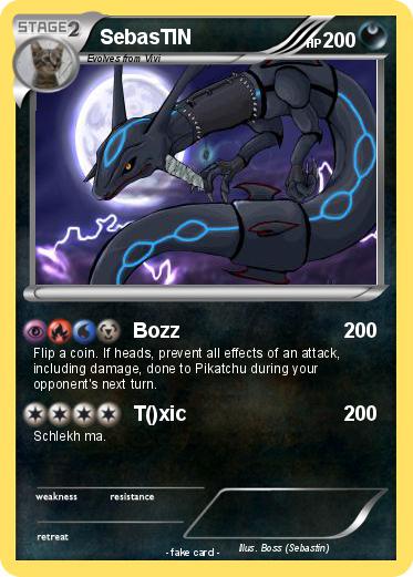Pokemon SebasTIN
