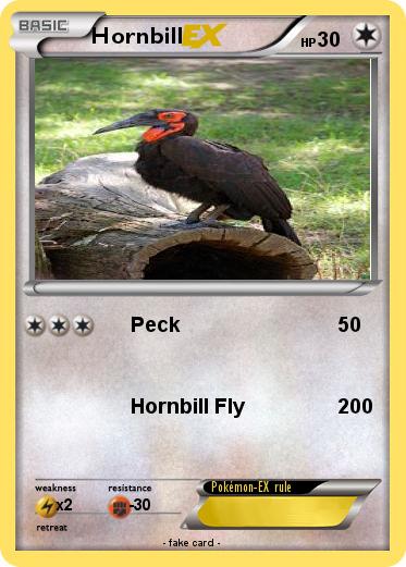 Pokemon Hornbill