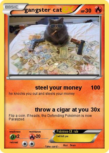 Pokemon gangster cat