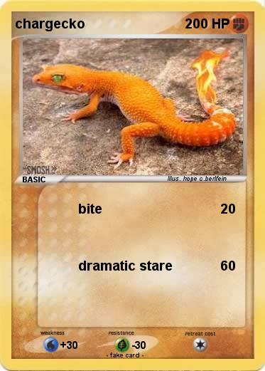 Pokemon chargecko