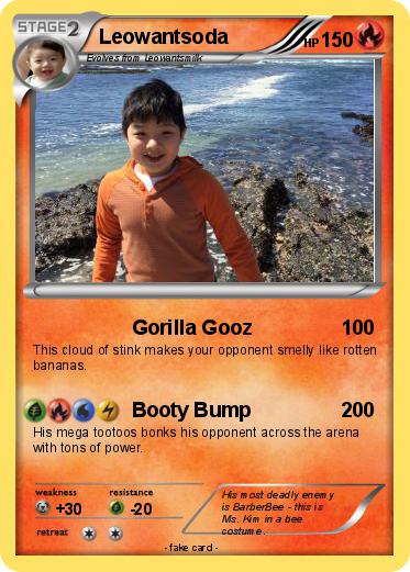 Pokemon Leowantsoda
