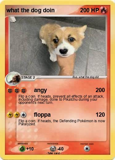 Pokemon what the dog doin