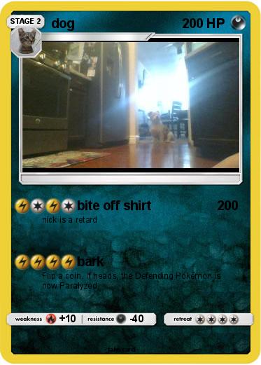 Pokemon dog