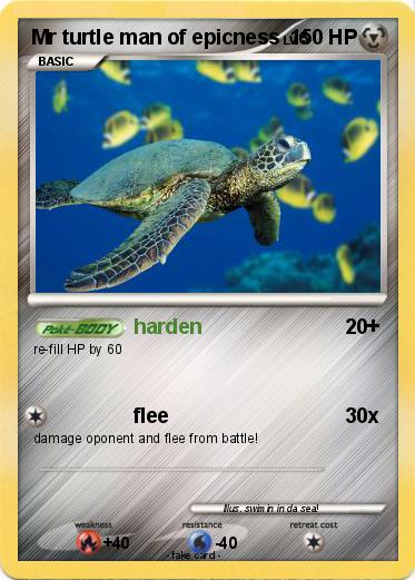 Pokemon Mr turtle man of epicness