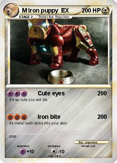 Pokemon M Iron puppy  EX
