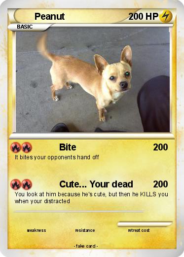 Pokemon Peanut
