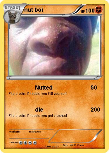 Pokemon nut boi
