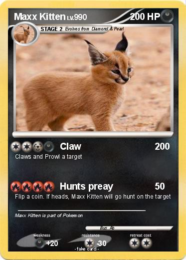 Pokemon Maxx Kitten