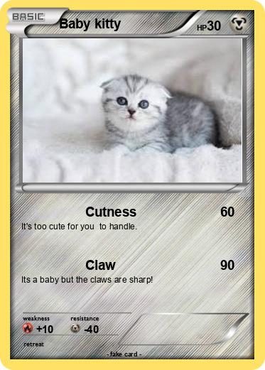 Pokemon Baby kitty