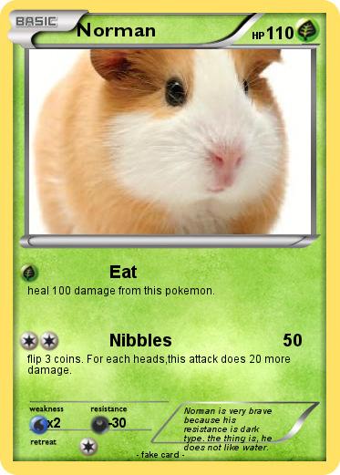 Pokemon Norman
