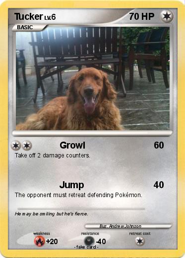 Pokemon Tucker