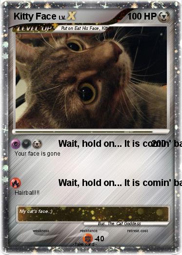 Pokemon Kitty Face