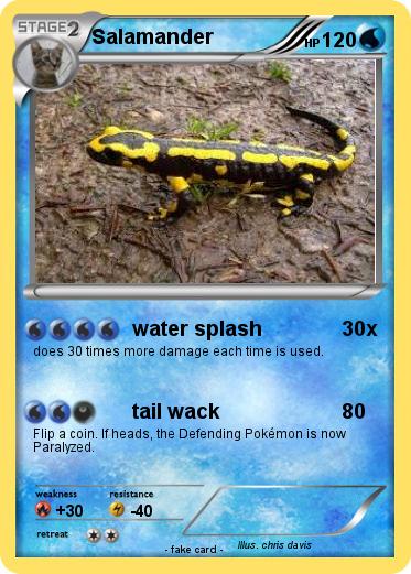Pokemon Salamander