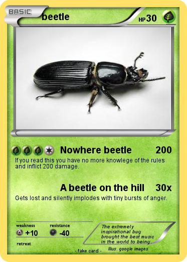 Pokemon beetle