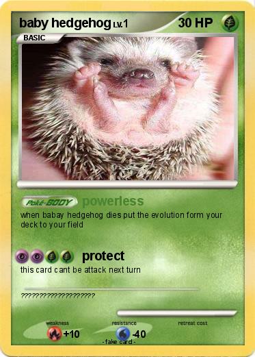 Pokemon baby hedgehog