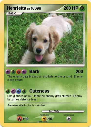 Pokemon Henrietta