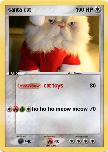 Pokemon santa cat