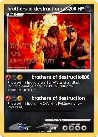 Pokemon brothers of destruction