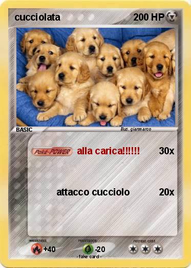 Pokemon cucciolata
