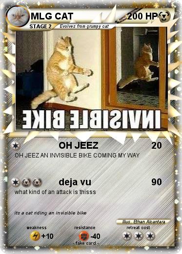 Pokemon MLG CAT