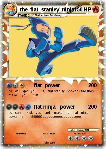 Pokemon the  flat  stanley  ninja