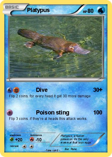 Pokemon Platypus