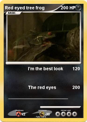 Pokemon Red eyed tree frog