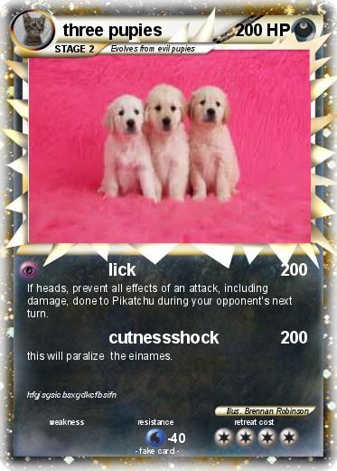 Pokemon three pupies
