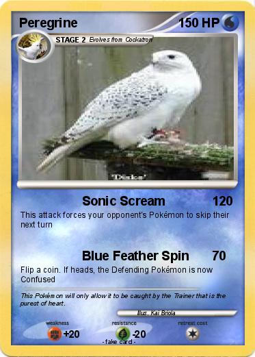 Pokemon Peregrine