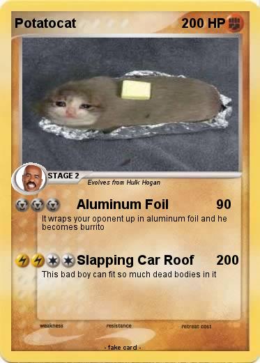 Pokemon Potatocat