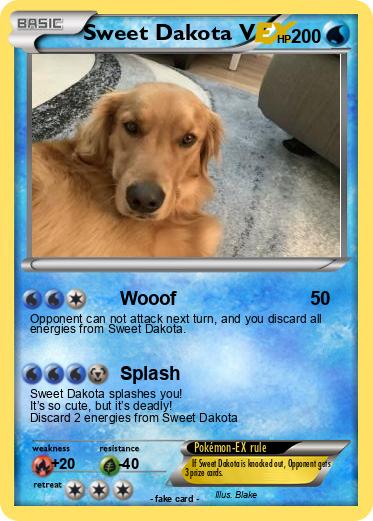 Pokemon Sweet Dakota V