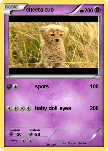Pokemon cheeta cub