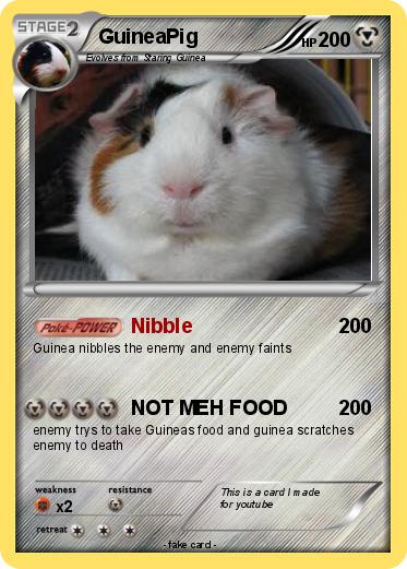 Pokemon GuineaPig