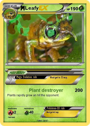Pokemon Leafy