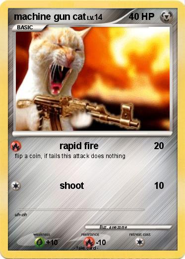 Pokemon machine gun cat