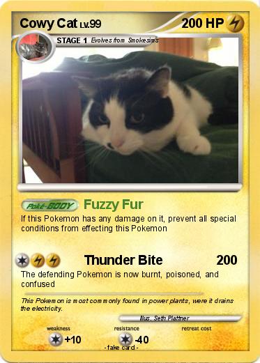 Pokemon Cowy Cat