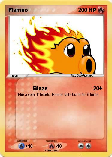 Pokemon Flameo