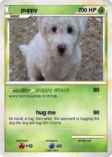 Pokemon puppy