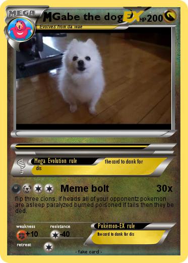 Pokemon Gabe the dog