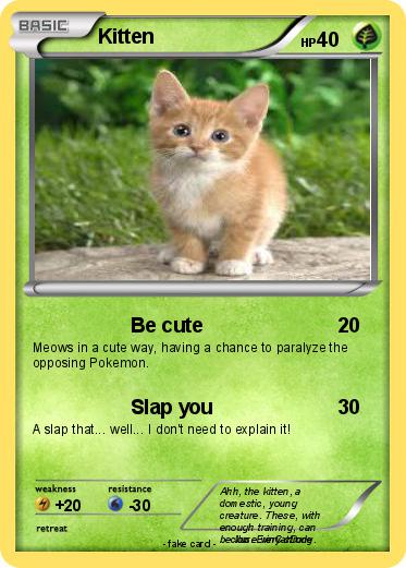 Pokemon Kitten