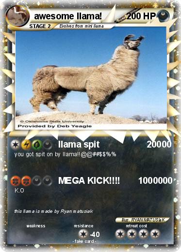 Pokemon awesome llama!