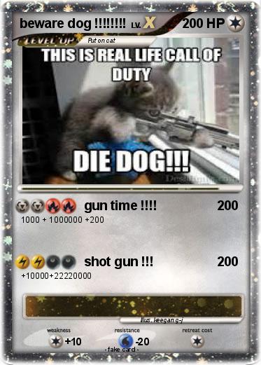 Pokemon beware dog !!!!!!!!