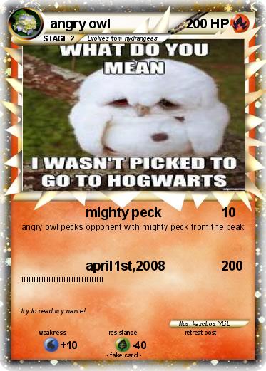 Pokemon angry owl