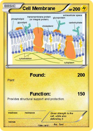Pokemon Cell Membrane