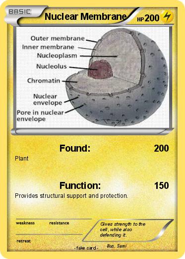 Pokemon Nuclear Membrane